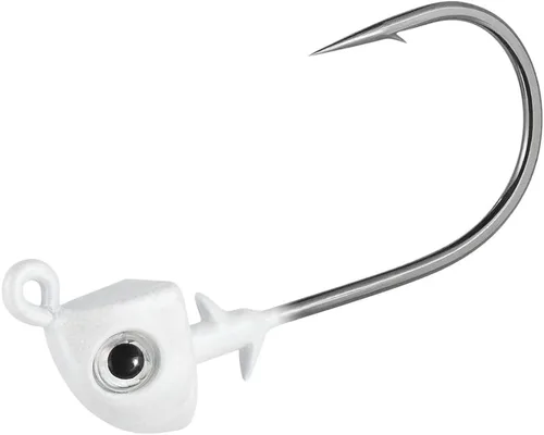 Dr.Fish Paquete de 10 cabezas de plantilla de tungsteno Swimbait, cabezas de pesca de agua salada para señuelo de lubina, ojos 3D, ganchos de acero