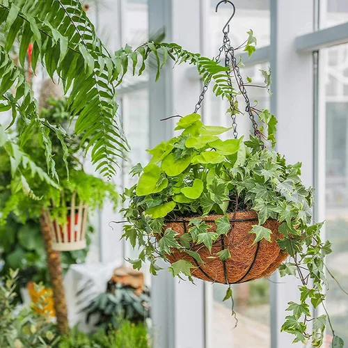 Miniatura 5 de GWY Cestas colgantes para macetas, 3 paquetes de 12 pulgadas, soporte de alambre de metal para plantas con forro de coco y cadena negra para colgar