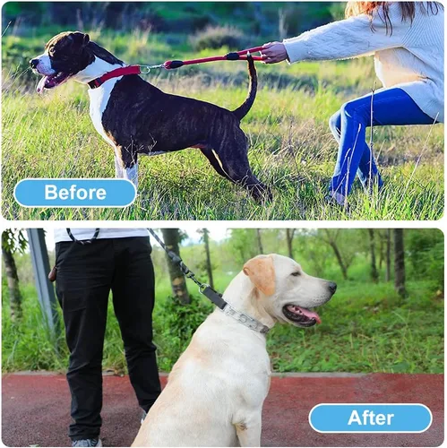 Miniatura 2 de Collar de punta para perro, collar de entrenamiento ajustable para perros con hebilla de liberación rápida para perros pequeños, medianos y grandes