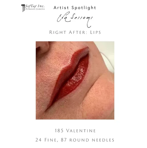 Miniatura 3 de SofTap Maquillaje permanente de San Valentín PMU, lápiz labial, rubor labial, pluma, forro, completo, aspecto brillante, besable, suave, exuberante