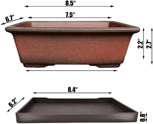 Miniatura 2 de MUZHI Maceta decorativa de cerámica para bonsái de 8.5 pulgadas con bandeja, maceta rectangular transpirable sin esmaltar de arcilla de terracota
