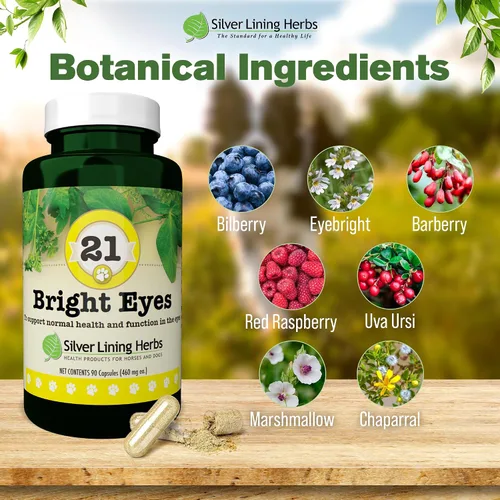 Miniatura 3 de Silver Lining Herbs 21 ojos brillantes - Apoya la salud de los ojos del perro - Mantiene los niveles normales de minerales para los ojos del perro