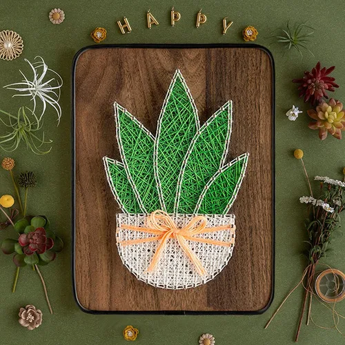 Miniatura 7 de BAZIMA ALICE Kit de arte de cuerda para principiantes, kit de manualidades de cactus en maceta, regalo único, kit de manualidades para vacaciones