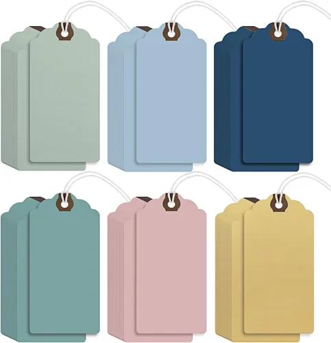 Outus 60 etiquetas de regalo grandes de papel en blanco de 4 3/4 pulgadas x 2 3/8 pulgadas con cuerda y alambre de ojales reforzados, etiquetas de