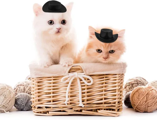 Miniatura 6 de Skylety 20 piezas de sombrero de vaquero y vaquera en miniatura de plástico occidental pequeño lindo sombrero de muñeca para decoración de tarta