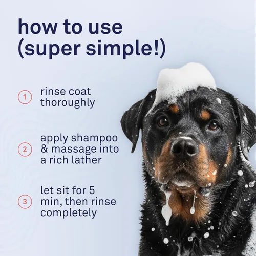 Miniatura 8 de Petpost Champú de argán para perros. Champú para perros con aceite de argán y aloe. Hidrata la piel seca, suaviza el pelaje, restaura el brillo. 8