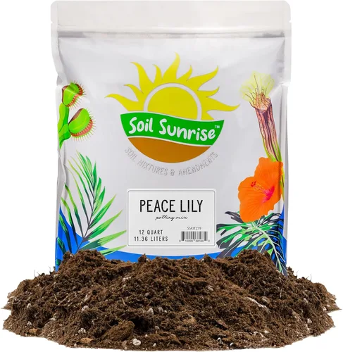 Miniatura 10 de Soil Sunrise Peace Lily - Mezcla de tierra para macetas (8 cuartos de galón) para plantar, cultivar o trasplantar plantas de lirio de la paz