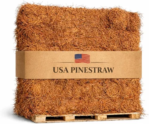 Long Needle Pine Straw Mulch – Cobertura de 3200 pies cuadrados, 1 juego – Paja de pino cosechada en Estados Unidos de primera calidad para