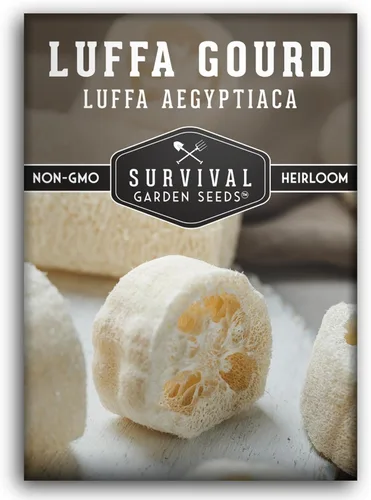 Luffa Seeds for Planting – Variedad de esponja de lufa sin OMG – Cultiva depuradores de baño naturales, frutas jóvenes comestibles y enredaderas de