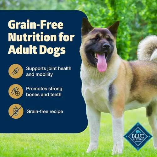 Miniatura 3 de Blue Buffalo Freedom - Alimento seco para perros de peso saludable, sin granos, nutrición completa y equilibrada para perros adultos, fabricado