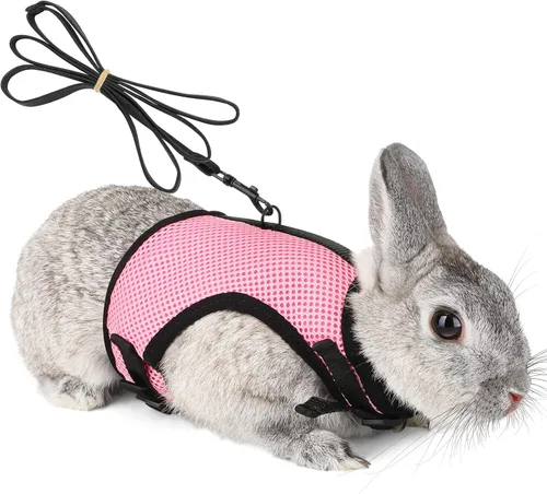 Miniatura 12 de PETTOM Arnés para Conejo Conejillo de Indias con Correa Elástica Extensible, Lindo Arnés de Malla Suave para Mascotas Pequeñas, Sin Tirones, Cómodo