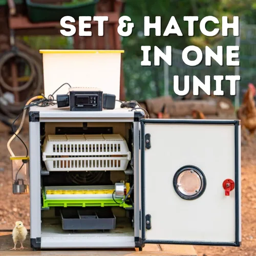Miniatura 3 de Incubadora de Huevos Hatching Time con Giro Automático de Huevos y Control de Humedad Incubadora Digital para Aves de Corral con Capacidad para 60