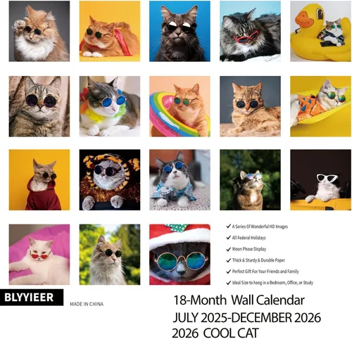 Miniatura 3 de Calendario de pared 2026, calendario 2025-2026, calendario mensual de pared Cool Cat, 12 x 24 pulgadas abierto, calendario planificador familiar