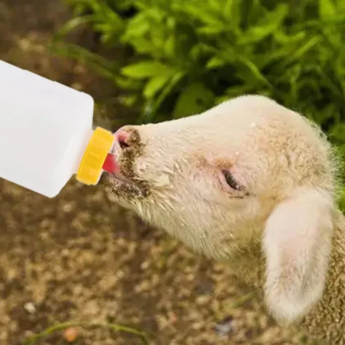 Miniatura 4 de Juego de pezón y biberones de cabra, 12 piezas de bebida de leche para animales pequeños, 2 piezas de 13.5 fl oz, kit de biberón de cordero