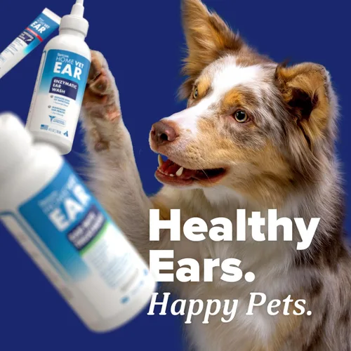 Miniatura 6 de TropiClean HomeVet Gotas medicinales para los oídos para perros, tratamiento de levadura y hongos recomendado por veterinarios, limpiador diario