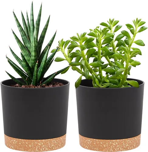 QCQHDU Maceta de 5 pulgadas, paquete de 2 macetas para plantas de interior con agujeros de drenaje y platillo, macetas para exteriores, decoración