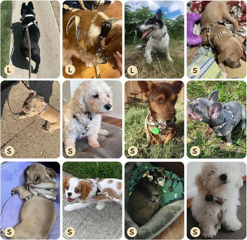 Miniatura 6 de Juego de arnés para perro con correa y collar de corbatín - Arnés para cachorro a cuadros beige, a prueba de escape, chaleco ajustable sin tirones