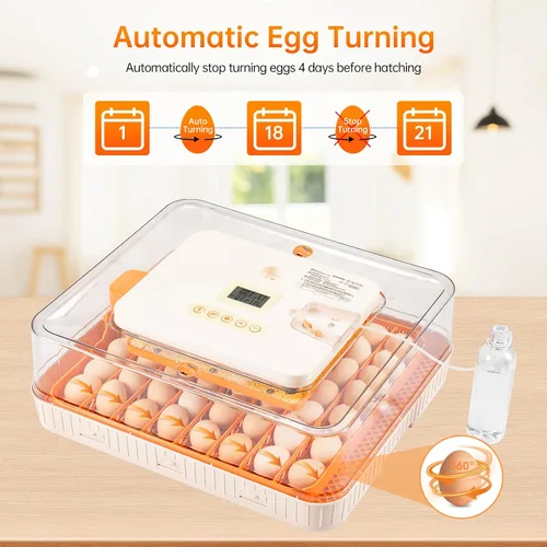 Miniatura 6 de Incubadora de 56 huevos para incubar huevos, girador automático inteligente y control de humedad, vista de 360°, vela incorporada Kit de eclosión