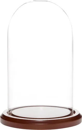 Miniatura 3 de Plymor Cúpula de cristal de 4.5" x 8" (base de chapa de roble)