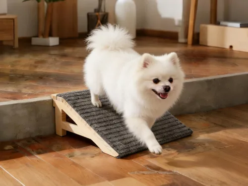 Miniatura 9 de Paquete de 1 rampa de escaleras para perros pequeños y mayores, escalones antideslizantes de madera para mascotas, rampa de asistencia para perros