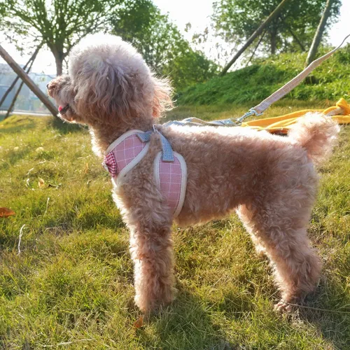 Miniatura 5 de Voopet - Arnés para perro fácil de poner y quitar, chaleco con malla delantera acolchada para cachorro con correa, arnés ajustable para mascotas sin
