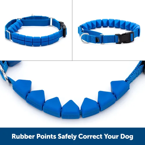 Miniatura 3 de PetSafe Soft Point - Collar de entrenamiento sin tirones para perros, puntos suaves de goma, mediano, 3/4 pulgadas, azul rey