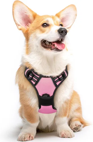 Miniatura 18 de Eagloo Arnés para perro pequeño, sin tirones, chaleco de servicio con tiras reflectantes y asa de control, ajustable y cómodo para caminar, arnés