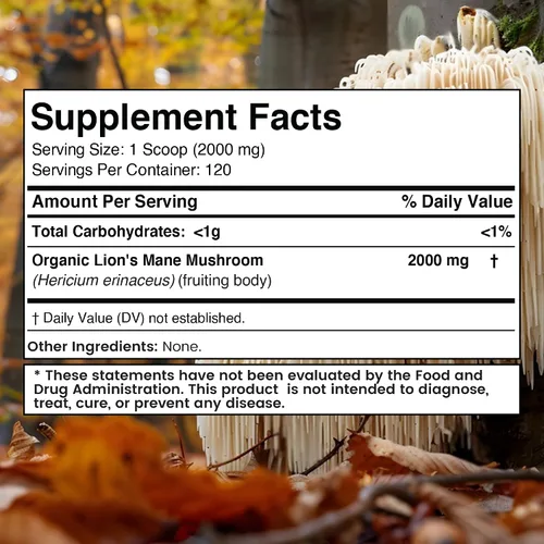 Miniatura 2 de WELLNESS LABSRX Polvo de melena de león, suplemento de hongos – 2000 mg – Suplemento de melena de león – Complementos cerebrales en polvo de hongo