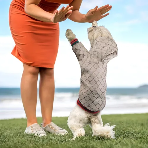Miniatura 3 de Sudadera con capucha para perro de diseño clásico, abrigo de lujo para cachorros, abrigo cálido para mascotas, diseño de cremallera, ropa Teddy