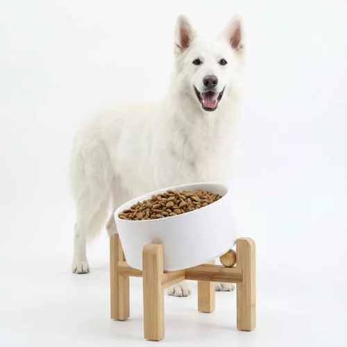 Miniatura 11 de Petygooing Cuenco Elevado/Alzado de Cerámica Inclinado 15° para Perros de Razas Pequeñas y Medianas, Cuenco Inclinado Antideslizante para Verde óxido