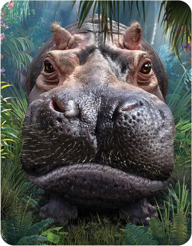 Miniatura 14 de 3D LiveLife Imán - A Love So Grand de Deluxebase. Imán lenticular para refrigerador de animales salvajes. Imanes planos decorativos 3D Gorilla.