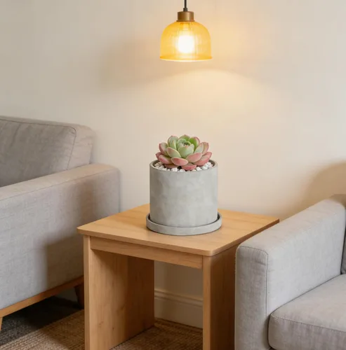 Miniatura 6 de Ekirlin Maceta de interior de 6 pulgadas, macetas de jardín gris de cemento natural, macetas de hormigón para exteriores con bandeja de platillo