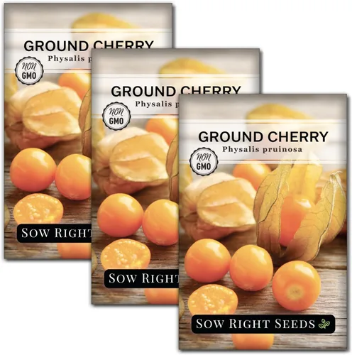 Miniatura 8 de Sow Right Seeds - Semillas de cerezas de tierra para plantar - Paquete de reliquia sin OMG con instrucciones para plantar un jardín de verduras