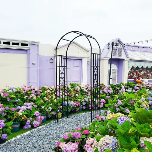 Miniatura 6 de Cenador de pérgola de metal, 100 pulgadas de alto x 45 pulgadas de ancho, arco de jardín para ceremonia de boda, fiesta, plantas de hierro curvado