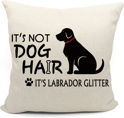 Mancheng-zi Labrador - Fundas de almohada decorativas de 18 x 18 pulgadas, color negro