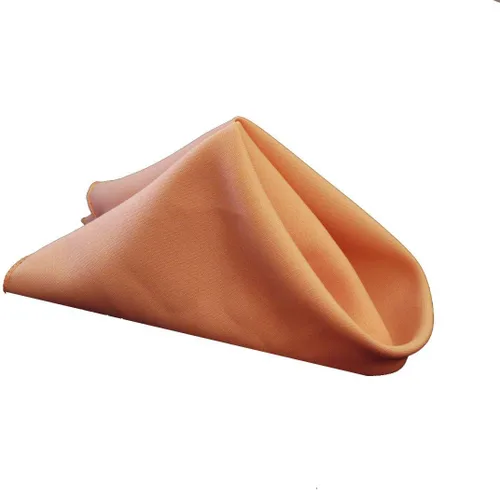 Miniatura 29 de LTC LINENS Juego de servilletas de tela azul bebé de 12 a 20 x 20 pulgadas, tela de poliéster lavable para hotel, restaurante, boda y fiesta