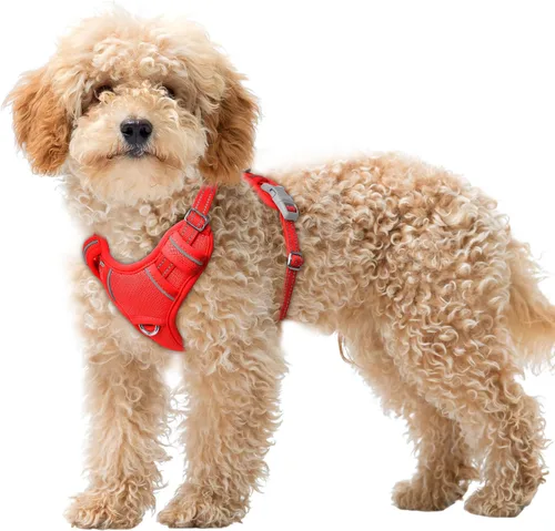 Miniatura 39 de BARKBAY Arnés para Perro Sin Tirones Talla Grande Arnés Reflectante para Perro con Clip Frontal y Asa de Control Fácil para Caminar Entrenar Correr