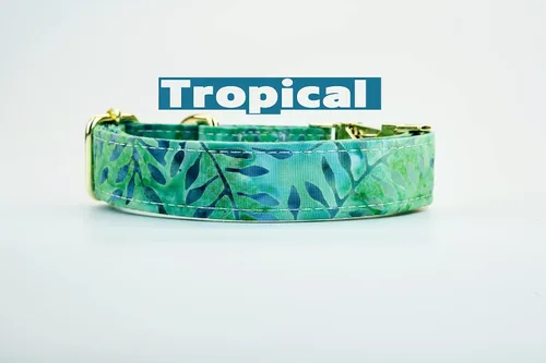 Miniatura 4 de Tropical Green Dog Collar w/Metal Buckle or Plastic Hand Made Custom Engraved Personalized Collar 1 inch Wide Designer Collars