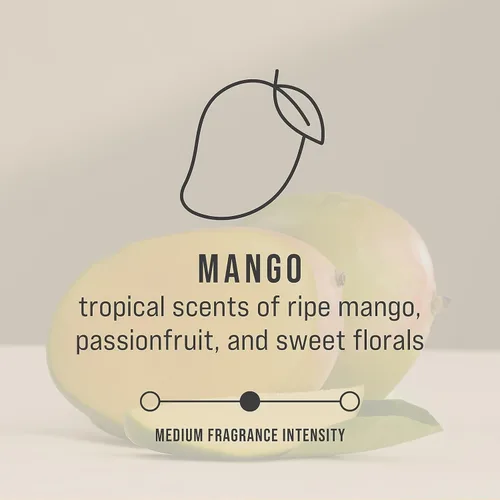 Miniatura 5 de Rubbermaid CirculAir 90 (TCell) - Recambio de ambientador y desodorante sólido, aroma a flor de mango, 6/caja (FG402369)