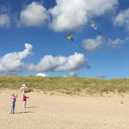 Miniatura 4 de Diamond Kites for Kids Adults Easy to Fly, Beginner Kite for Toddlers Ages 3-5, Kids Kite Pack for Boys and Girls,Beach Kites for Outdoor Activities