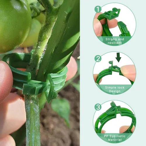 Miniatura 3 de 100 clips de plástico asegurados para plantas, clips reutilizables para soporte de plantas, clips de tomate para asegurar plantas trepadoras, uvas