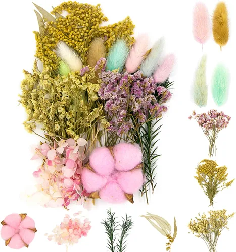 Vignee - Flores de hojas prensadas secas reales - Múltiples flores prensadas de colores margaritas para manualidades de resina, joyería, arte, Rosa