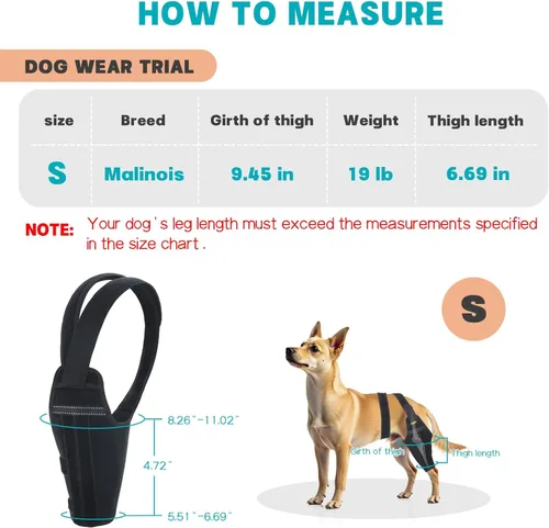 Miniatura 4 de Rodillera para perro para pierna trasera desgarrada del ligamento cruzado anterior, soporte ajustable para pierna trasera con 2 estabilizadores