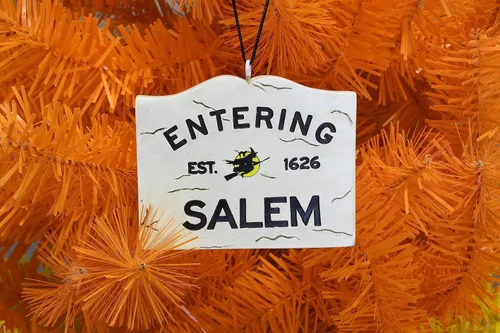 Miniatura 3 de Tree Buddees Letrero de entrada de Salem con adorno de bruja de Halloween