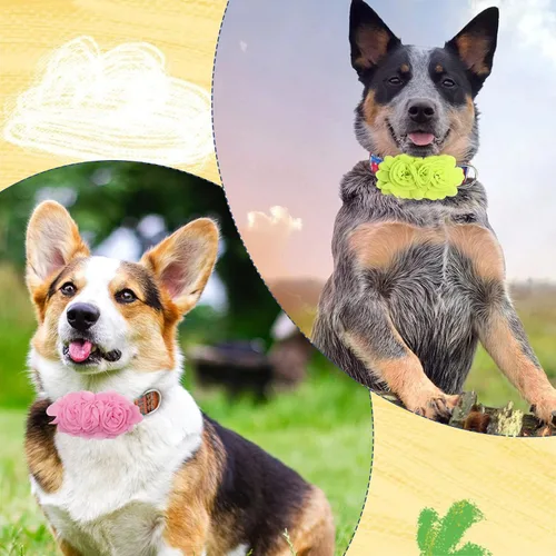 Miniatura 9 de Collar de perro de 4 o 6 o 20 piezas de flores grandes para mascotas, accesorios para collar de mascotas pequeñas, medianas y grandes, hembra, gato