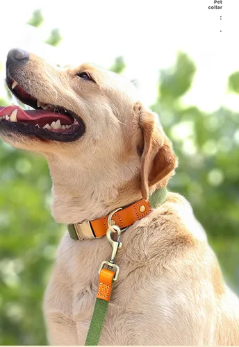 Miniatura 6 de Collar de perro personalizado para perros pequeños, medianos y grandes, collar de perro con hebilla de metal, collar de perro de cuero personalizado