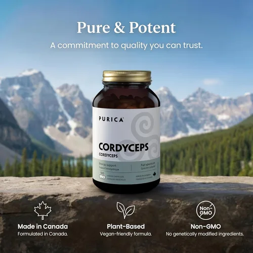 Miniatura 7 de PURICA Cordyceps - Suplementos de hongos, 120 cápsulas veganas, suministro de 30 días, apoya la energía, vitalidad, bienestar respiratorio, cuidado