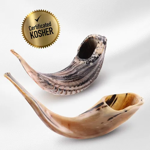 Miniatura 5 de Cuerna shofar con curva amplia y colores naturales, Default
