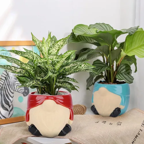 Miniatura 8 de Maceta de Cerámica de 6 Pulgadas Macetas para Plantas de Interior y Exterior Macetas para Flores Maceta para Plantas Suculentas Maceta de Mediados