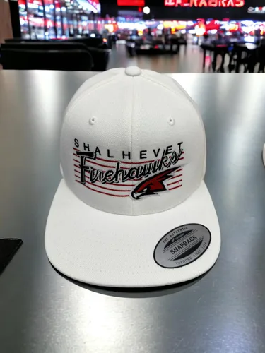 Miniatura 7 de INK STITCH Stc19 Diseña Tu Propio Logo Textos Bordado Snapback Caps - Multicolores